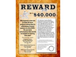 Stutsman County Sheriff’s Department, Stockmen’s Association announce reward in large-scale cattle death case