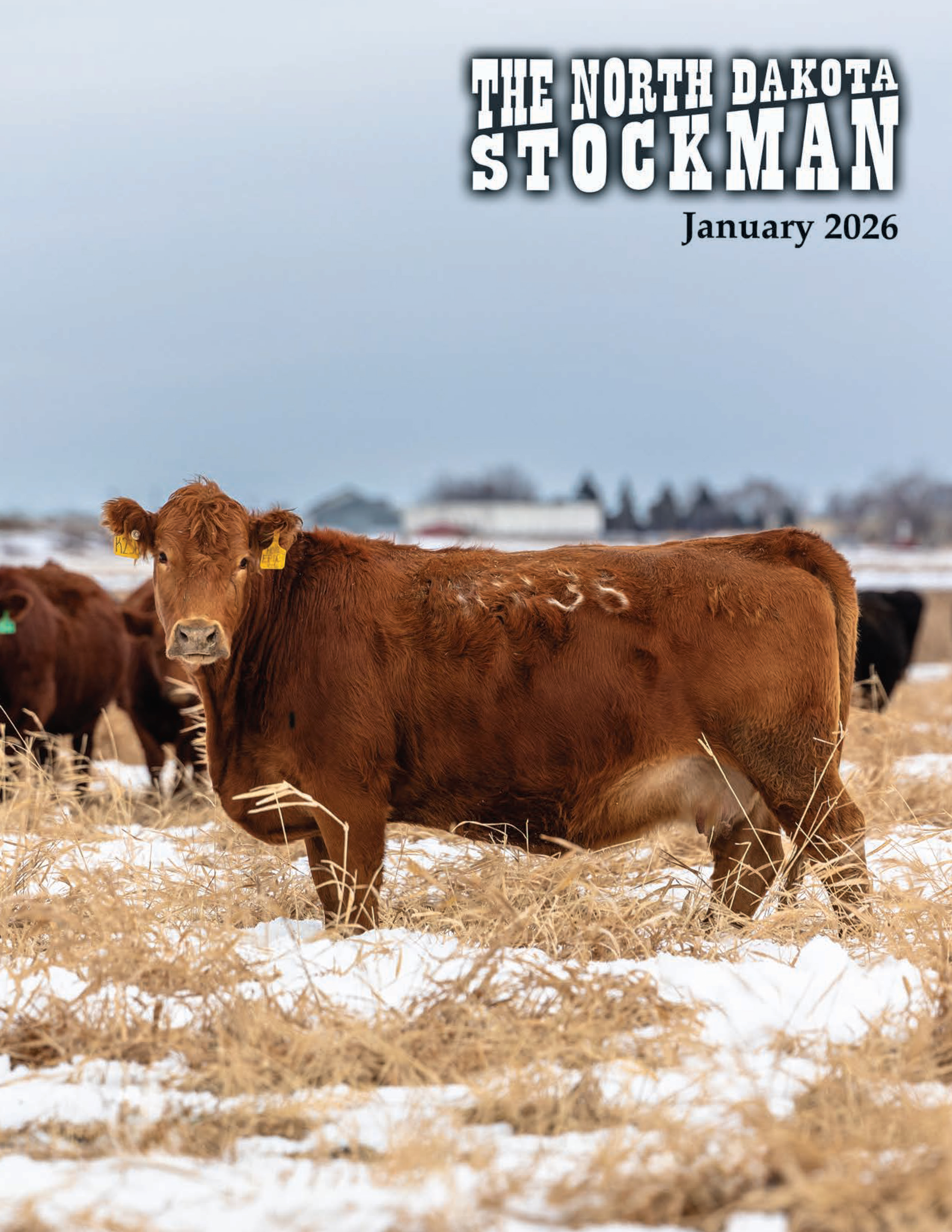 2026_January_NDStockman_unitedpress_1.jpg