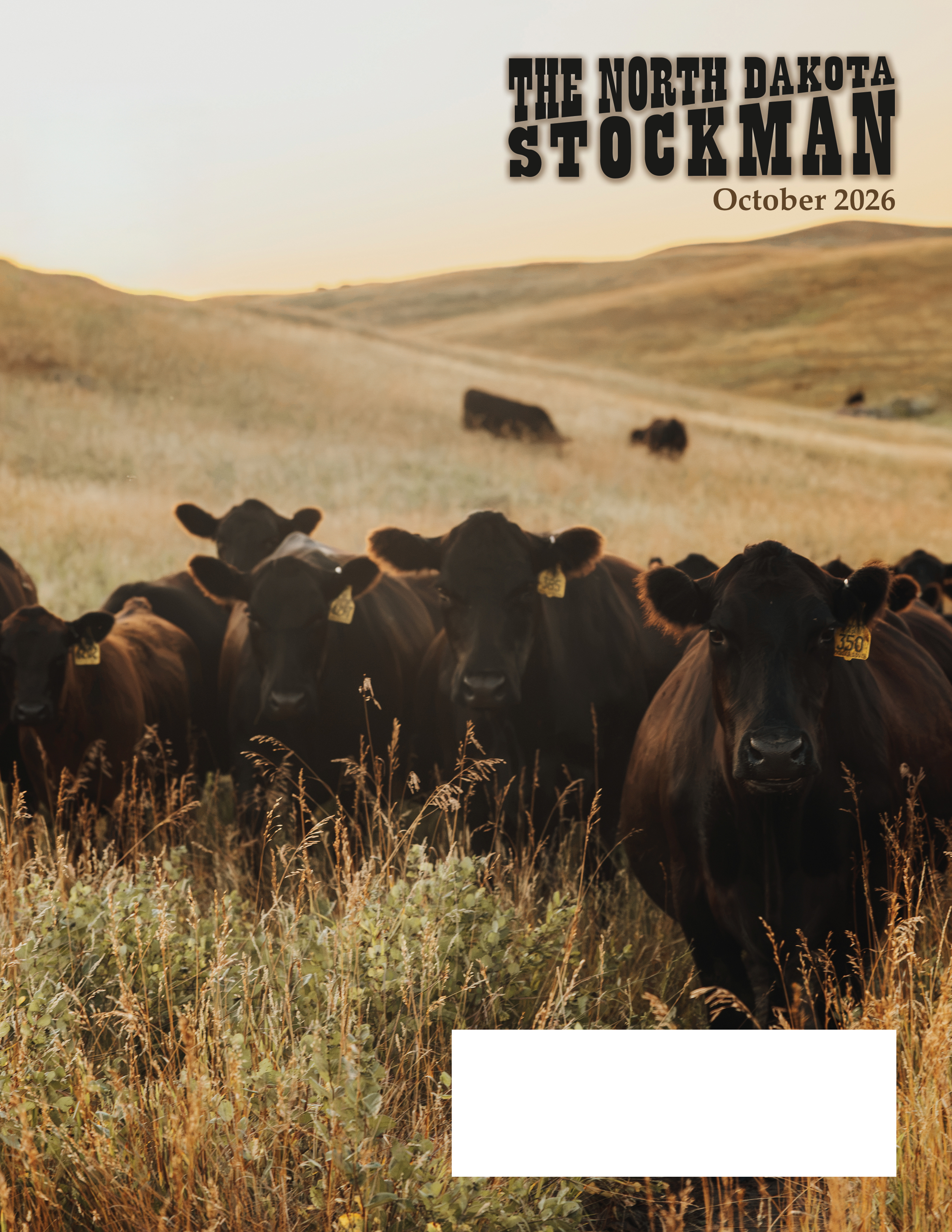 2026_January_NDStockman_unitedpress_1.jpg