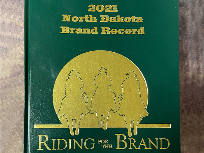 NDSA publishes 2021 Brand Record